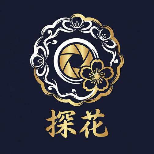 每日大赛